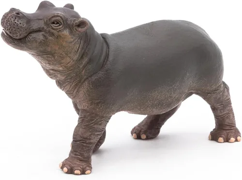 Miniatura 7 de Papo - Figura realista de hipopótamo bebé - A partir de 3 años - Colección Wild Life - Juego educativo de animales jóvenes - Juguete de idea