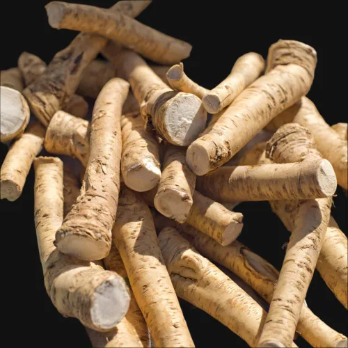 Planta de raíz de corona de rábano picante, coronas de rábano picante para plantar, raíces del tamaño de plantación, sin HI