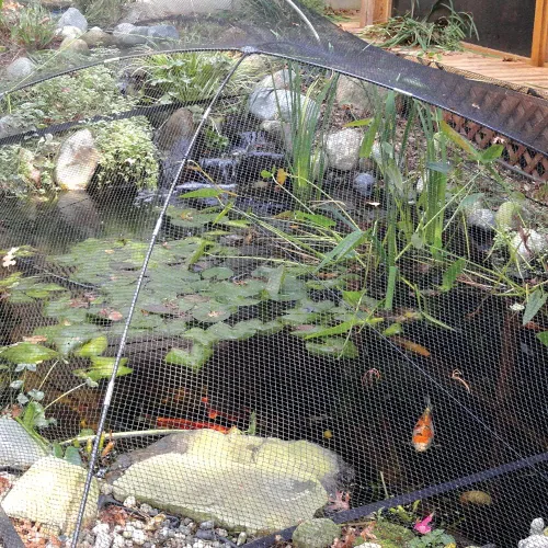 Miniatura 6 de Red de estanque para peces Koi para hojas de 10x30 pies, red de malla fina tejida de 1/2 pulg. fuerte para hojas de estanque, protección de peces