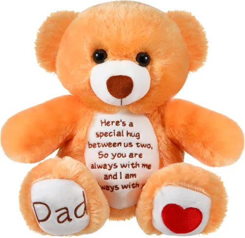 Liliful Osos de condolencia para niños y niñas, regalo conmemorativo de la pérdida de papá, regalo de condolencias, oso afligido por condolencias,