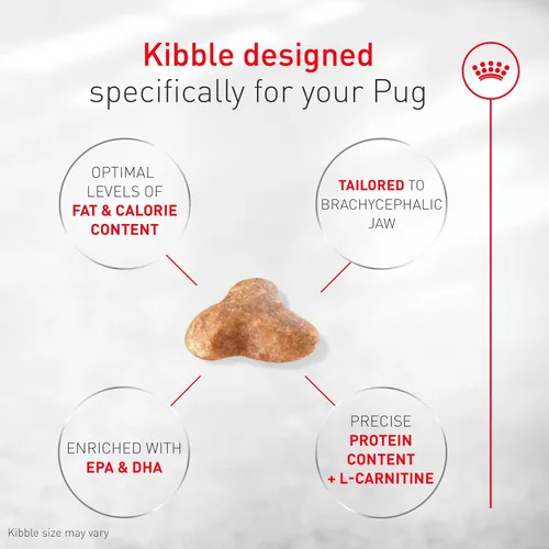 Miniatura 4 de Royal Canin Pug - Alimento seco específico para perros de raza adulta, bolsa de 10 libras