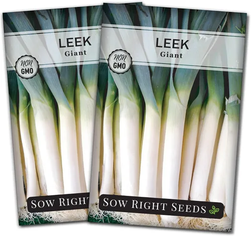 Miniatura 7 de Sow Right Seeds - Semillas de puerro gigantes para plantar - Paquete de reliquia sin OMG con instrucciones para plantar y cultivar un huerto