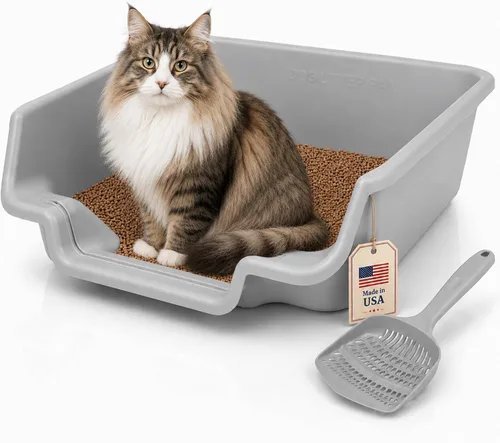 Miniatura 49 de KittyGoHere - Caja de arena para gatos mayores, sartén pequeña con cuchara jumbo de mango largo, caja de arena para gatos de entrada baja, ligera
