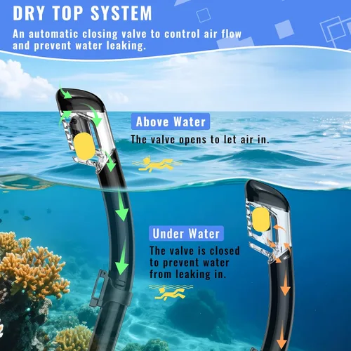 Miniatura 6 de Equipo de esnórquel para adultos, conjunto de esnórquel máscara de buceo con parte superior seca, gafas de natación para adultos con cubierta