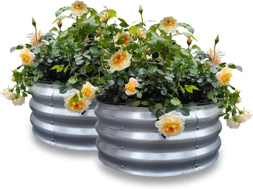 Miniatura 35 de GARDMAX 2x2x1FT Galvanized Round Raised Garden Bed Kit, Metal Planter Boxes Outdoor with Easy Assembly, Large Garden Bed for Vegetables, Fruits