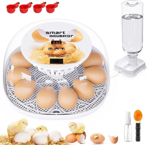 Incubadoras para incubar huevos, incubadora de 12 huevos con giro automático y control de temperatura, adición automática de agua, candelero LED