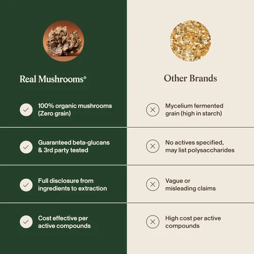 Miniatura 7 de Real Mushrooms Cápsulas de cola de pavo – Extracto de hongo orgánico para el bienestar diario, armonía intestinal, apoyo energético – Vegano, sin