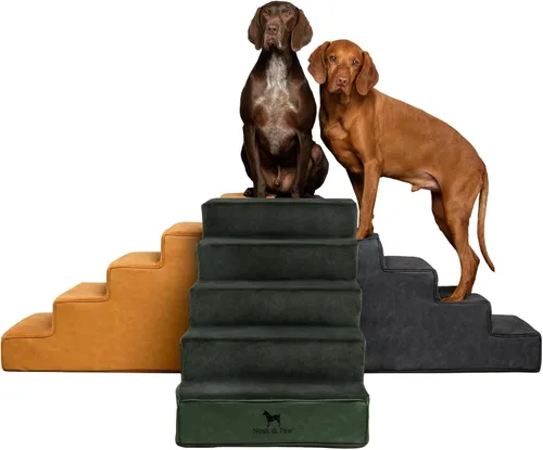 Miniatura 13 de Noah & Paw Escaleras para Perros, Rampa para Perros para Cama (17" Extra Ancha) Escaleras para Mascotas para Cama Alta, Diseñadas para Razas