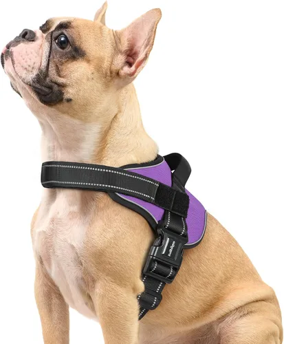 Miniatura 20 de rabbitgoo Arnés para perro de tamaño pequeño, chaleco para mascotas sin tirones, sin estrangulamiento, fácil de llevar con una hebilla, reflectante