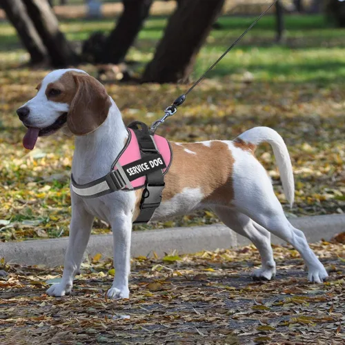 Miniatura 6 de JSXD - Arnés para perro, sin tirones, con asa ajustable, para exteriores, chaleco de nailon reflectante 3M, fácil control del perro, para perros