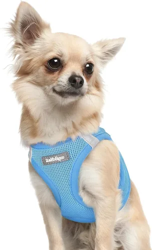 Miniatura 115 de rabbitgoo Arnés para perro pequeño, chaleco de malla suave para cachorros con hebilla de seguridad, arnés reflectante transpirable para mascotas