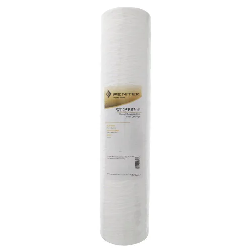 Pentair Pentek WP25BB20P - Filtro de agua de sedimentos azul grande, 20 pulgadas, cartucho de filtro de polipropileno para toda la casa, 20 x 4.5