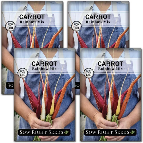 Miniatura 9 de Sow Right Seeds - Semillas de zanahoria Rainbow Mix para plantar - Paquete de reliquia sin OMG con instrucciones para plantar un huerto casero