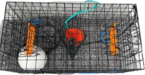 Miniatura 3 de JOY FISH Jaula para cangrejos azules de Maryland, resistente, de 24""X12""X12"" con malla y bolsa de cebo, grande, negra