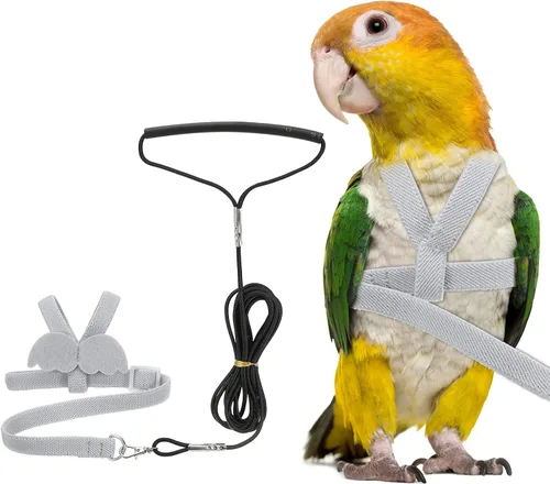 Miniatura 13 de Correa de arnés para pájaros, arnés ajustable para pájaros y loros para mascotas, ligera, antimordeduras, cuerda de entrenamiento de vuelo con linda