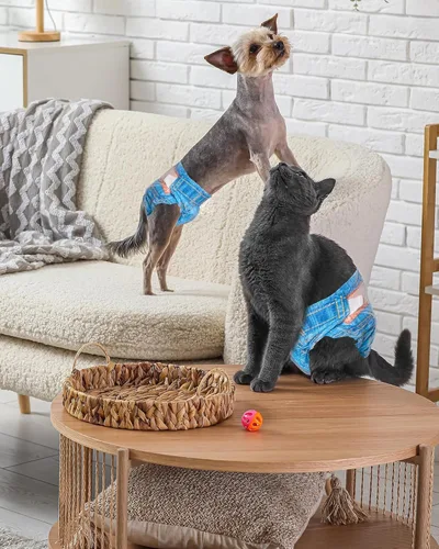 Miniatura 6 de Pet Soft Pañales desechables para perros hembras, pañales desechables para gatos, pañales para cachorros, 8 unidades, XS