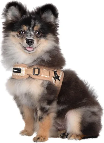Miniatura 4 de Puppia Arnés para perro tipo X de primavera y verano, beige_egon, talla S