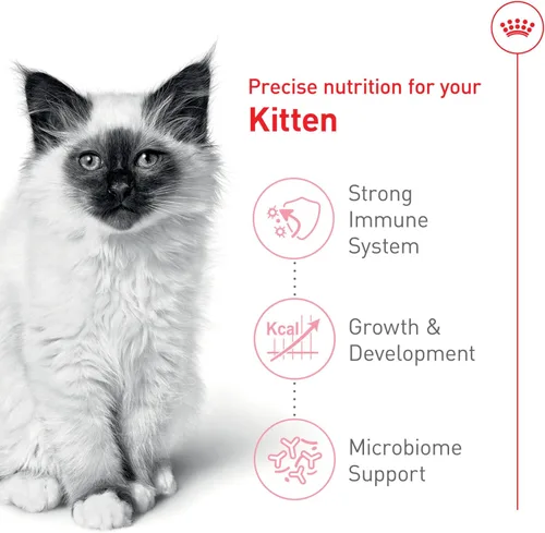 Miniatura 3 de Comida seca para gatitos de Royal Canin, Nutrición para la salud felina, Bolsa de 14 lb