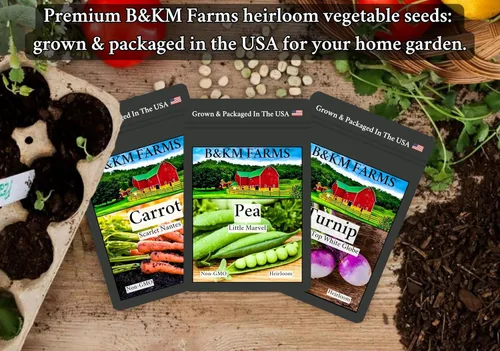 Miniatura 7 de B&KM Farms Más de 25,000 bóvedas de semillas de verduras tradicionales – 40 variedades sin OMG para jardinería doméstica y seguridad alimentaria