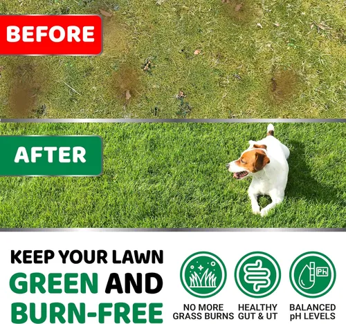 Miniatura 2 de Neutralizador de Orina de Perro para Césped - 170 masticables - Guardaverde avanzado para orina de perro - Suplemento neutralizador de césped