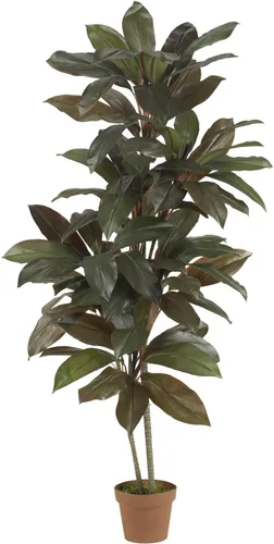 Miniatura 8 de Nearly Natural Cordyline con florero decorativo planta de seda