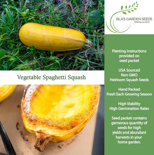 Miniatura 2 de Semillas de calabaza de invierno de espagueti vegetal para plantar, más de 25 semillas tradicionales por paquete, semillas de jardín de Isla