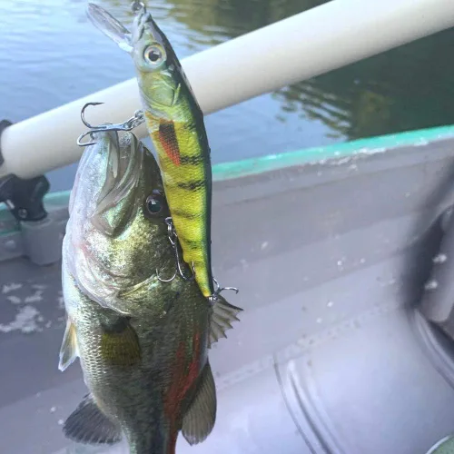 Miniatura 6 de PROBEROS Minnow Bass Fishing Señuelos - Jerkbait Sinking Señuelo Set Cebos Duros Crankbait para trucha bagre almizclado Bluegill Enchufe de pesca 6