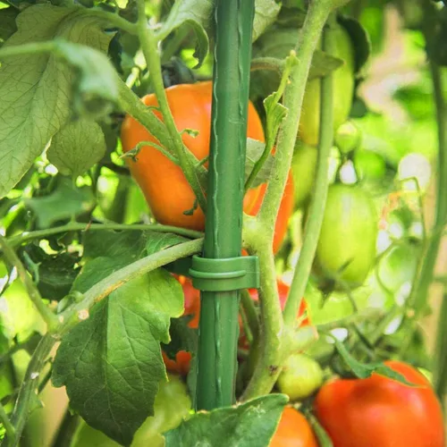 Miniatura 2 de 48 brazos de estaca para jaula de tomate, conectores de enrejado expandibles de 11.8 pulgadas, conectores de estacas de jardín de 0.433 in