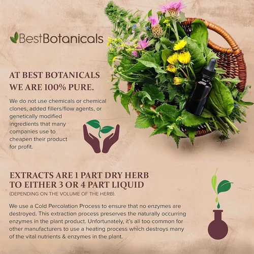 Miniatura 3 de Best Botanicals Polvo de hoja de ginkgo 4 oz.