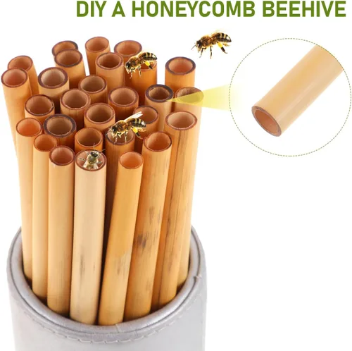 Miniatura 5 de COHEALI Mason Bee Tubes - Paquete de 50 tubos de anidación de varillas naturales de 7.87 pulgadas para casa de abejas, solitario de 0.276-0.354 in