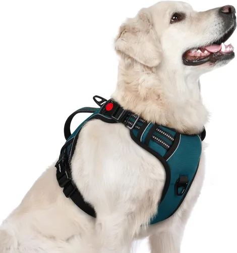 Arnés para perro rabbitgoo, arnés para mascotas que no causa tirones para perros grandes, arnés ajustable reflectante con asa acolchada suave, arnés