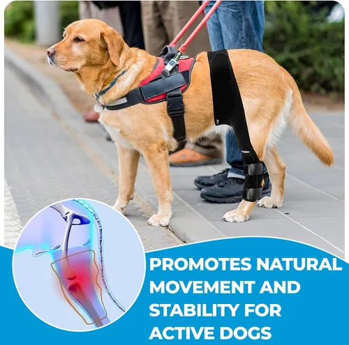 Miniatura 7 de Lycon Rodillera para perro para soporte de ACL - Estabilizador ajustable para patas traseras y articulaciones - Soporte de pierna trasera