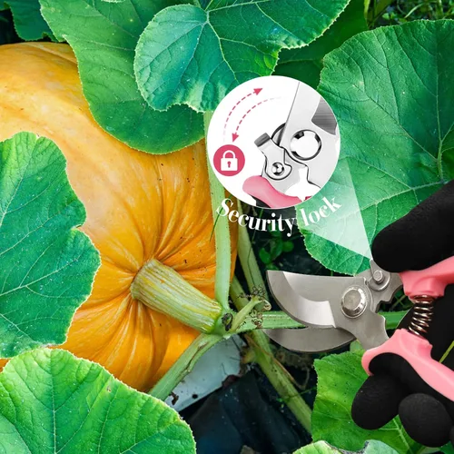Miniatura 4 de 4 paquetes de tijeras de podar para jardín, con cuchillas de acero inoxidable, tijeras manuales de podar con guantes de jardinería (Rosa)