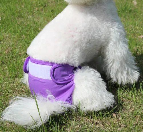Miniatura 2 de JoyDaog Pañales para perros pequeños, paquete de 4 pañales reutilizables para cachorros, S