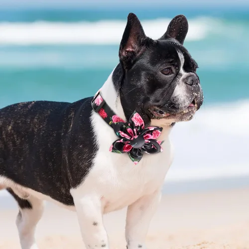 Miniatura 2 de Collar de perro floral para niñas en color rosa con moño de flores de rosa para gatos y perros hembras lindos - Tamaños de pequeño a grande