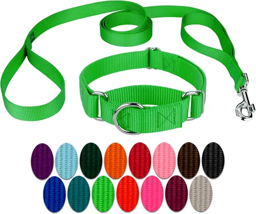 Miniatura 10 de Country Brook Petz - Collar para perro de nailon resistente Martingala azul hielo y correa de doble asa (1 pulgada, grande)