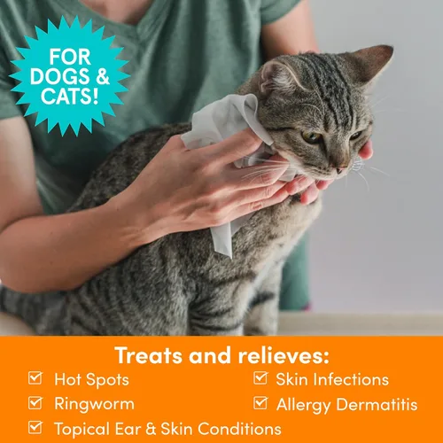 Miniatura 3 de Nootie - Toallitas medicadas para perros, toallitas para mascotas con clorhexidina y miconazol para perros y gatos - Toallitas pequeñas de 2", 60