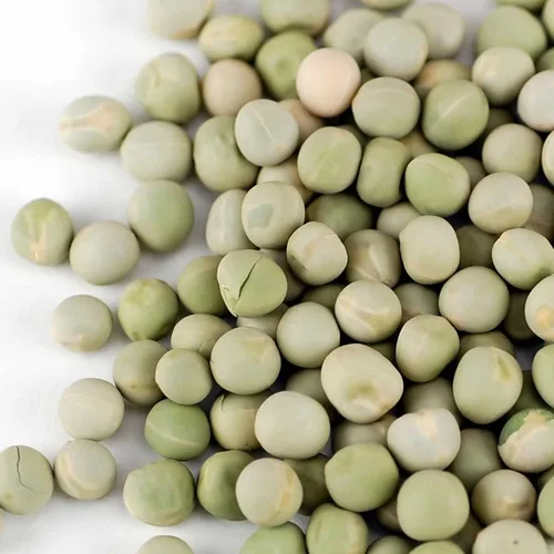 Miniatura 2 de Semilla de germinación de guisantes verdes – Marca de 5 libras – Guisante verde para brotes, plantación de jardín, cocina, sopa, almacenamiento