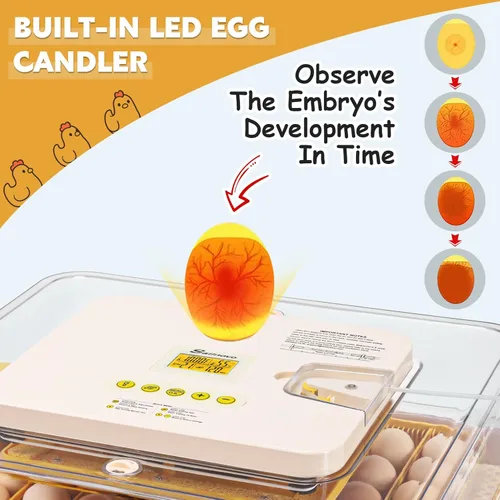 Miniatura 5 de Sailnovo Incubadora de 56 huevos para incubar huevos con giro automático de huevos y humidificación automática, vela de huevos, control de Blanco