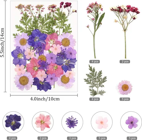 Miniatura 2 de Tovip 71 piezas de flores y hojas secas prensadas reales, mezcla de flores secas naturales prensadas, flores secas naturales preservadas