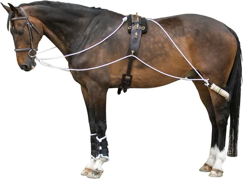 Sistema de entrenamiento europeo avanzado | Herramienta de entrenamiento avanzada | Mejora el carro de caballos y los auriculares | Fomenta el