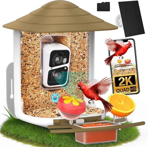 Miniatura 12 de birdsnap® TUC - Comedero para pájaros con cámara 2K HD en vivo con tarjeta de 32 GB, detección y notificación automática de inteligencia artificial