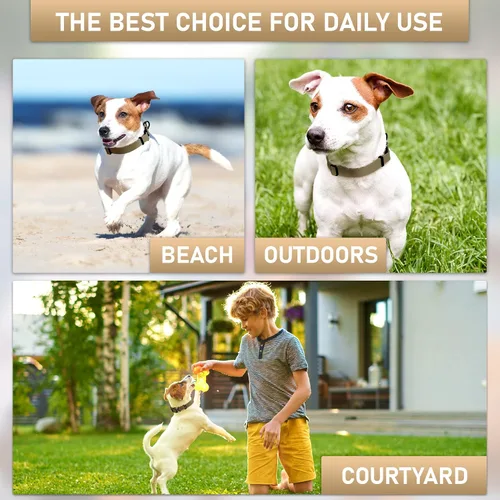 Miniatura 7 de Biothane - Collar de perro con hebilla de cobra, fabricado en Estados Unidos, etiqueta de identificación con código QR incluida, collares de perro