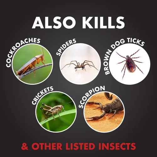 Miniatura 4 de Spectracide Ant Shield - Aerosol para matar insectos, 15 onzas, paquete de 12