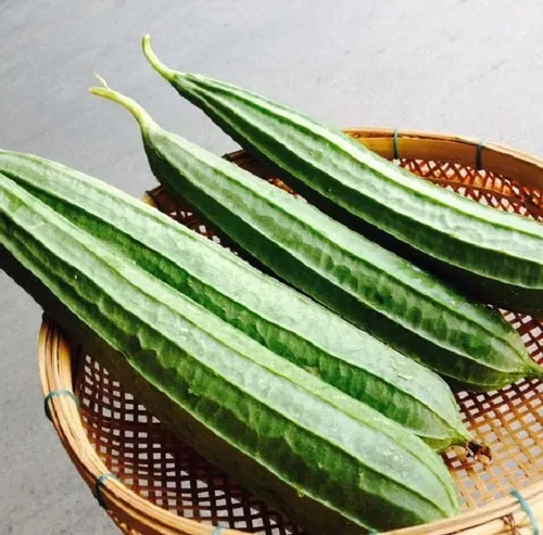 Miniatura 8 de The Rike 20 Semillas Luffa Acutangula Seeds Angulada Luffa Ridge Gourd Turai Chinese Okra Plato Paño Calabaza, Calabaza Estriada, Muop Huong