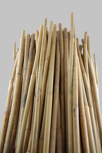 Miniatura 3 de Grower's Solution Estacas de bambú – Natural – 5 pies de alto x 3/8 pulgadas de profundidad – Cañas para plantas – Paquete de 500