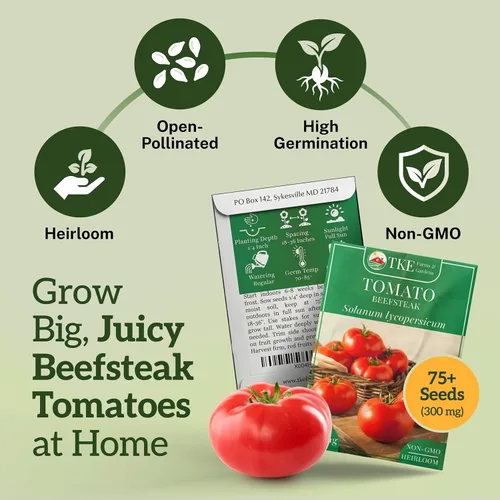 Miniatura 2 de TKE Farms & Gardens - Semillas de tomate Beefsteak para plantar, más de 75 variedades tradicionales sin OMG, cultiva tomates grandes y jugosos