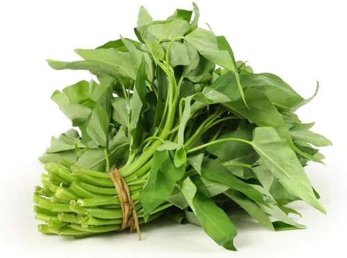 Miniatura 7 de 1000 semillas de Kangkong para plantar - Variedad de semillas de Rau Muong Vietnam - Kong Xin CAI Ong Choy vegetal asiático para cultivo de jardines