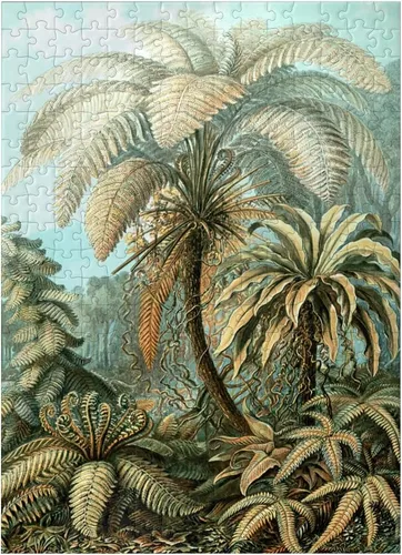 Miniatura 7 de MyPuzzle Fern (Filicinae) - Formas de arte en la naturaleza, póster de arte vintage, Ernst Haeckel - Rompecabezas prémium de 1000 piezas para adultos