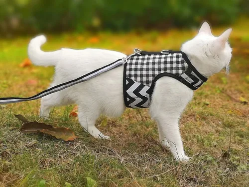 Miniatura 3 de Arnés de gato con correa, ajustable para gatos, chaleco acolchado para gatos, Black Plaid